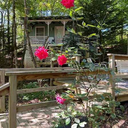 Villa Mountain Rose